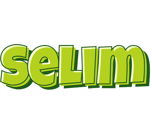 Selim summer logo