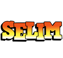 Selim sunset logo