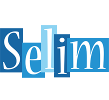 Selim winter logo