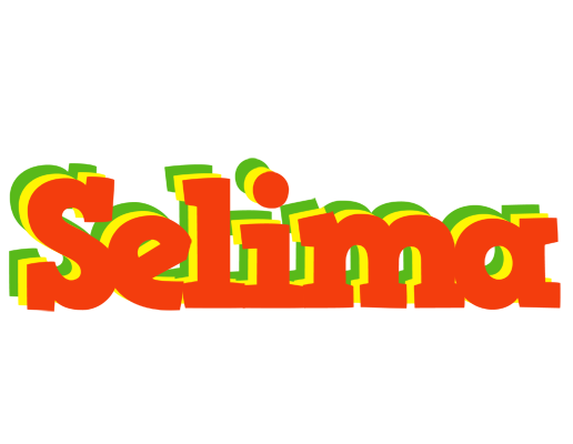 Selima bbq logo