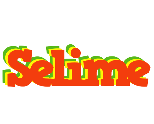 Selime bbq logo