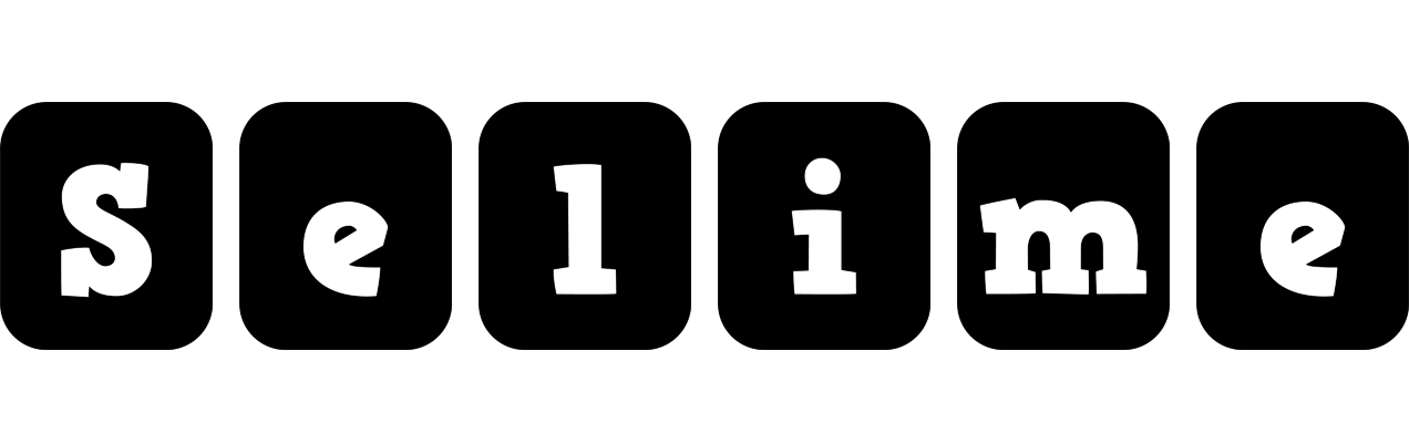 Selime box logo