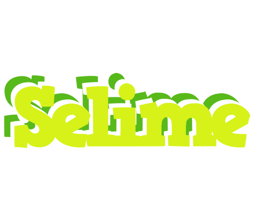 Selime citrus logo