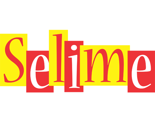 Selime errors logo