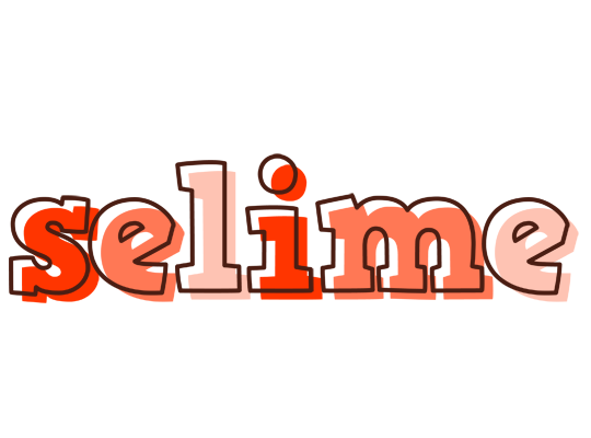 Selime paint logo