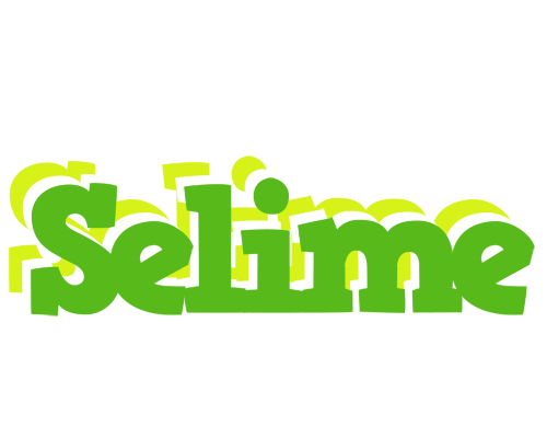 Selime picnic logo