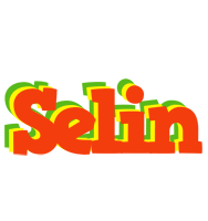 Selin bbq logo