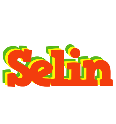 Selin bbq logo