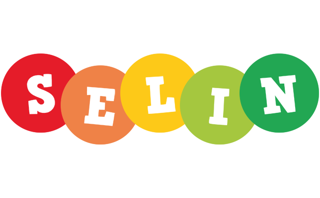 Selin boogie logo