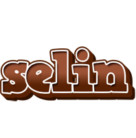Selin brownie logo