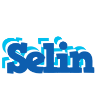 Selin business logo