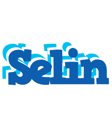 Selin business logo