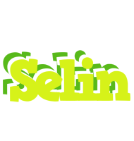 Selin citrus logo