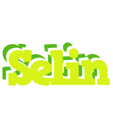 Selin citrus logo