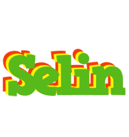 Selin crocodile logo