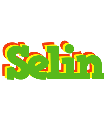 Selin crocodile logo