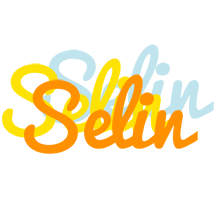 Selin energy logo