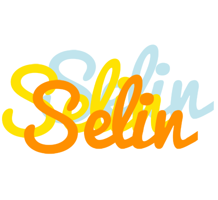 Selin energy logo
