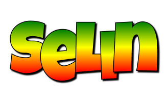 Selin mango logo