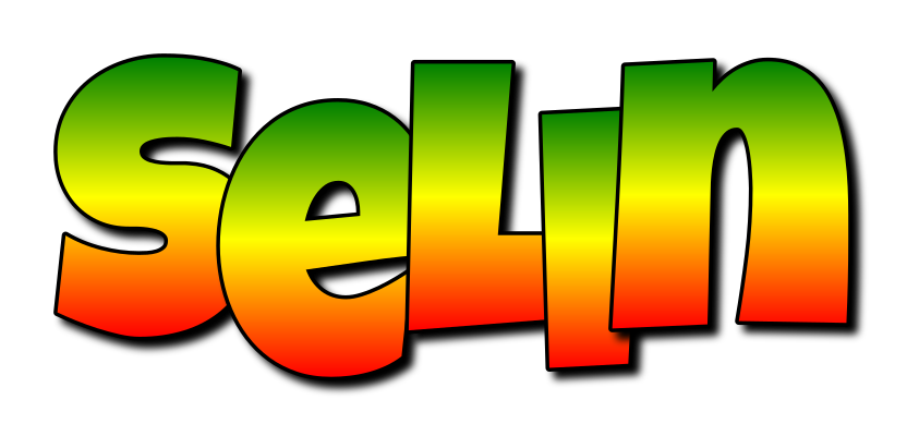 Selin mango logo