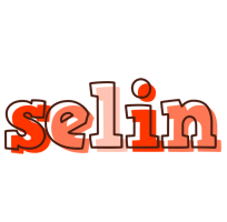 Selin paint logo