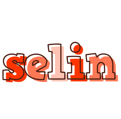 Selin paint logo
