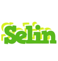 Selin picnic logo