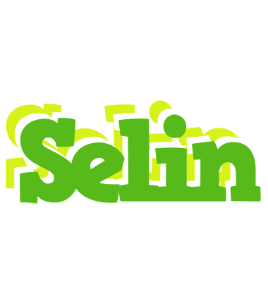 Selin picnic logo