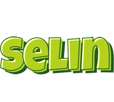Selin summer logo