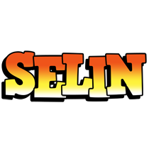 Selin sunset logo