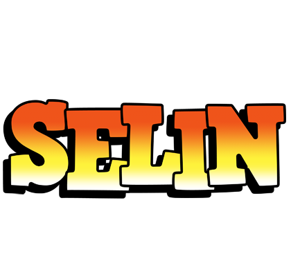Selin sunset logo