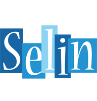 Selin winter logo