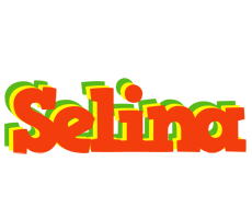 Selina bbq logo