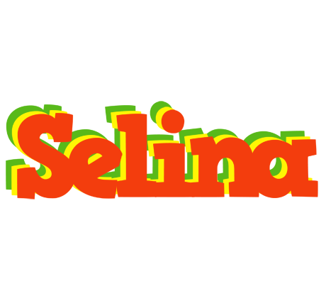 Selina bbq logo