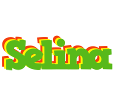 Selina crocodile logo