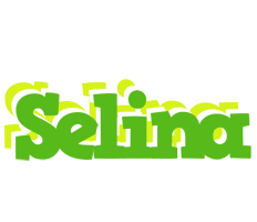Selina picnic logo