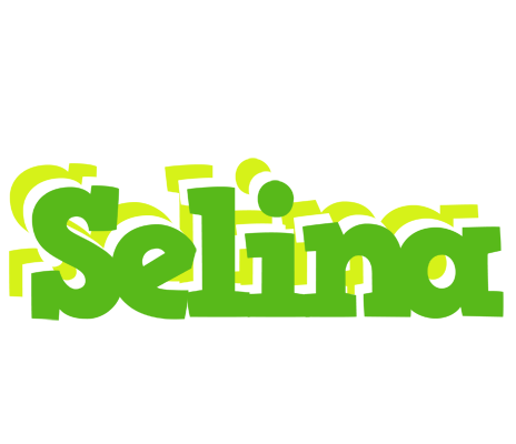 Selina picnic logo