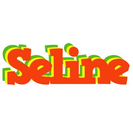 Seline bbq logo
