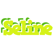 Seline citrus logo