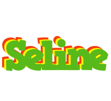 Seline crocodile logo