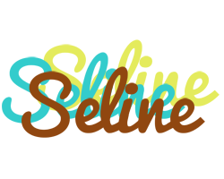 Seline cupcake logo