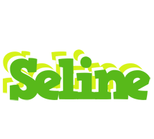 Seline picnic logo