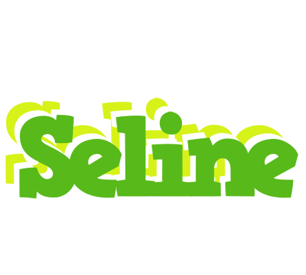 Seline picnic logo