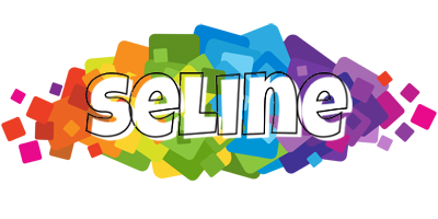 Seline pixels logo