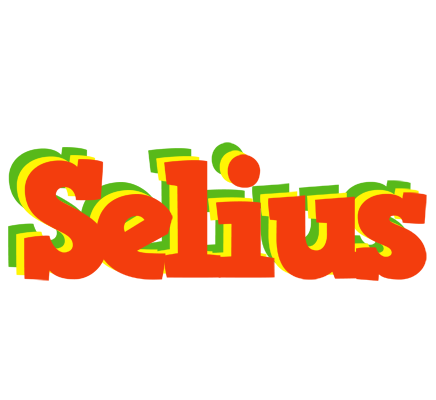 Selius bbq logo