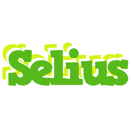 Selius picnic logo