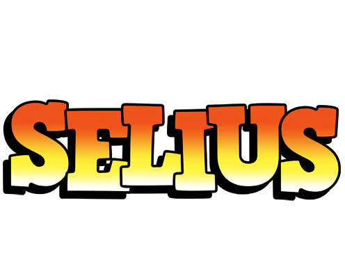 Selius sunset logo