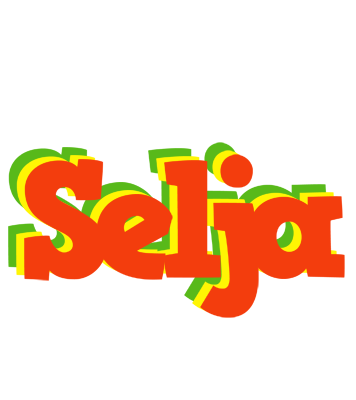 Selja bbq logo