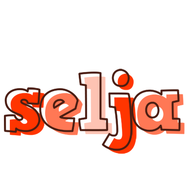 Selja paint logo