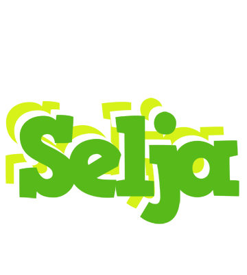 Selja picnic logo